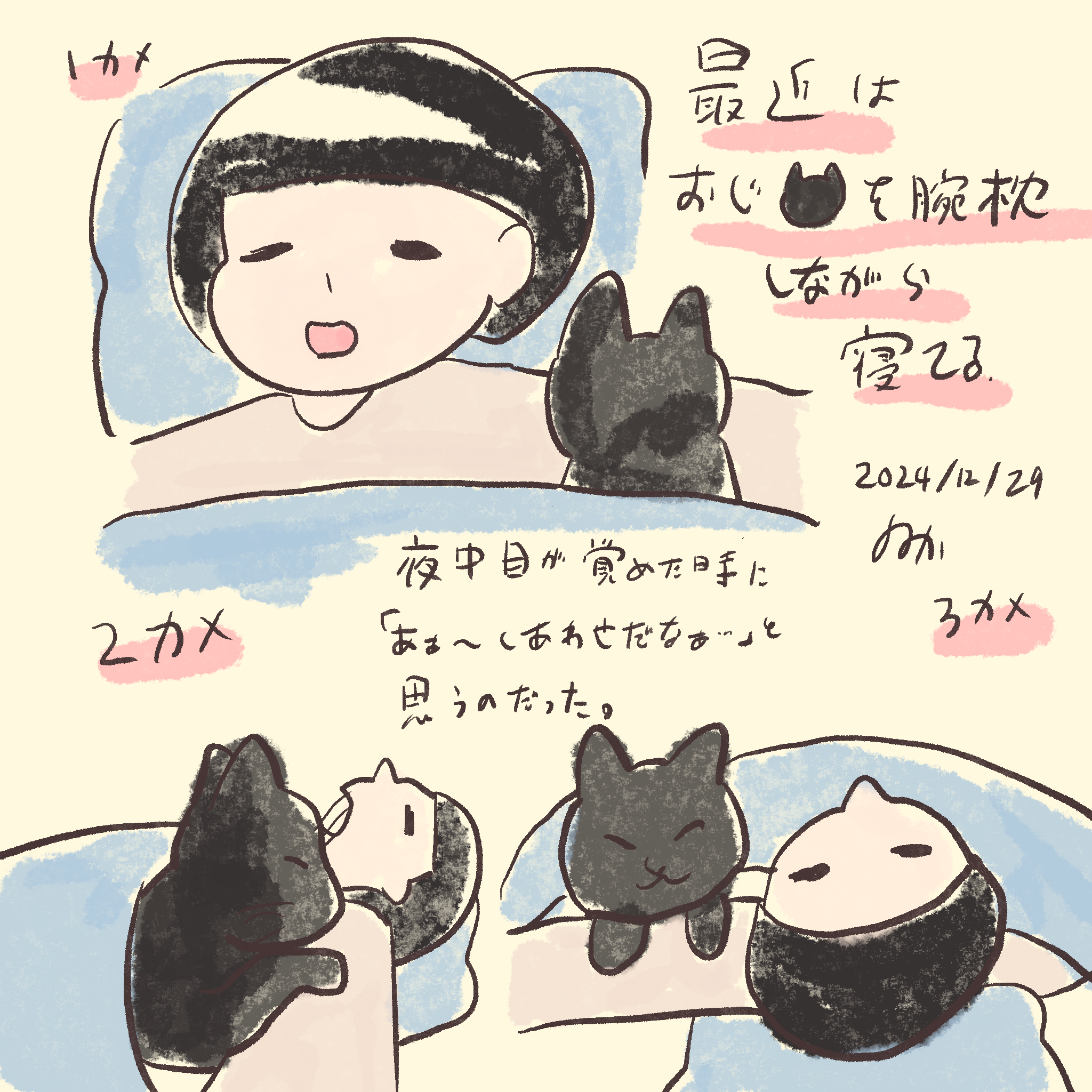 2024/12/29 猫と寝てる日記