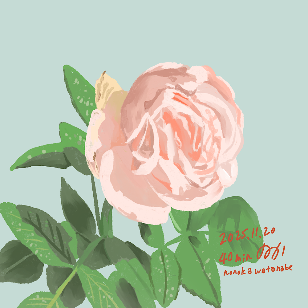 2025/11/20 バラのスケッチ/40分